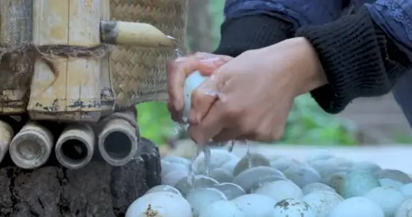 李子怎么做最好吃_李子怎么做美食_李子柒做的生活小窍门