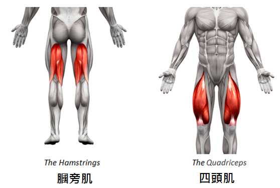 运动氧降脂有什么好处_有氧运动降脂_无氧运动降血脂